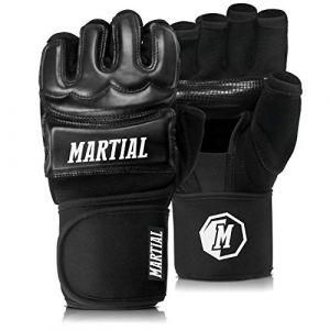 MMA Boxhandschuhe von Martial